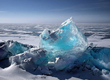 乐鱼官网：开启数字娱乐新体验的全方位门